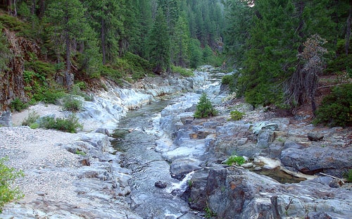 Gold Bearing Stream in PLumas National Forest, Ca, Favored by Gold Snipers